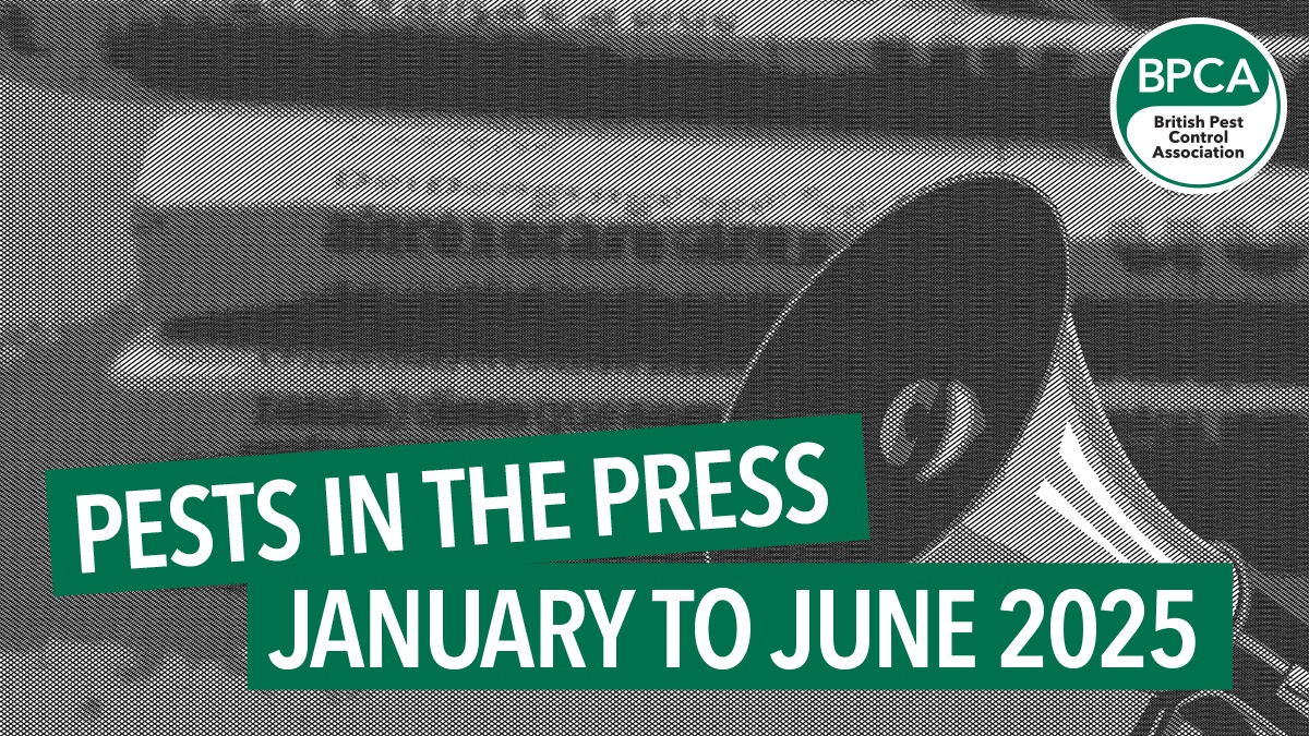 press hero press hero